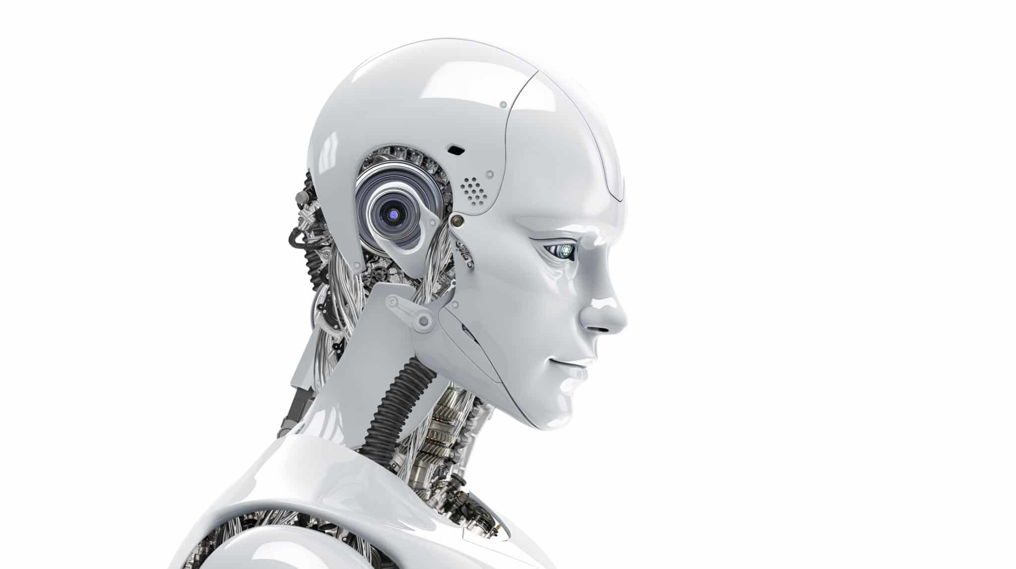 AI view 1